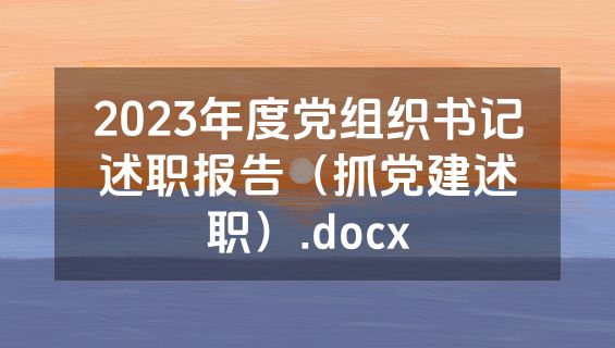 2023年度党组织书记述职报告（抓党建述职）.docx