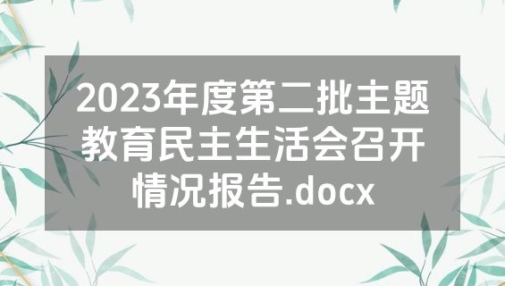 2023年度第二批主题教育民主生活会召开情况报告.docx