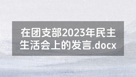 在团支部2023年民主生活会上的发言.docx