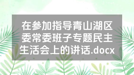 在参加指导青山湖区委常委班子专题民主生活会上的讲话.docx