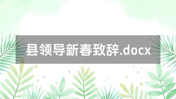县领导新春致辞.docx