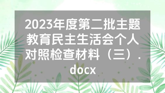 2023年度第二批主题教育民主生活会个人对照检查材料（三）.docx