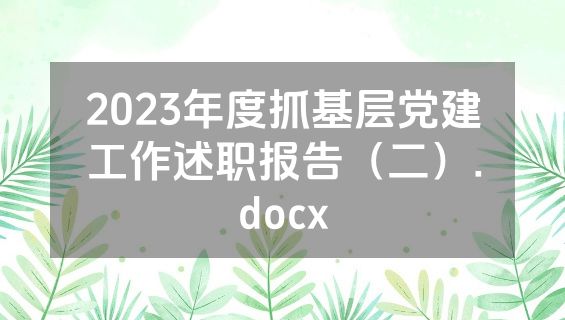 2023年度抓基层党建工作述职报告（二）.docx