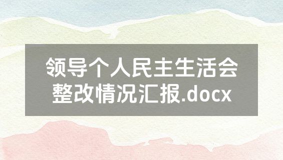 领导个人民主生活会整改情况汇报.docx