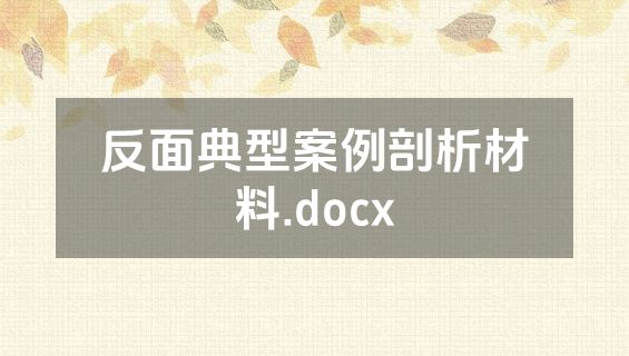 反面典型案例剖析材料.docx