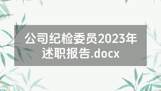 公司纪检委员2023年述职报告.docx