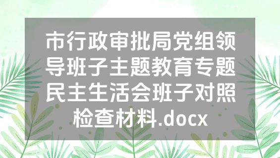 市行政审批局党组领导班子主题教育专题民主生活会班子对照检查材料.docx