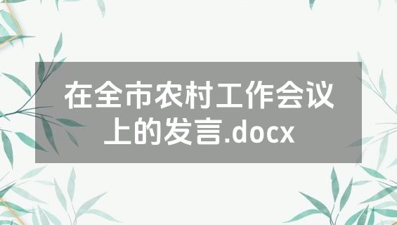 在全市农村工作会议上的发言.docx