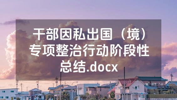 干部因私出国（境）专项整治行动阶段性总结.docx