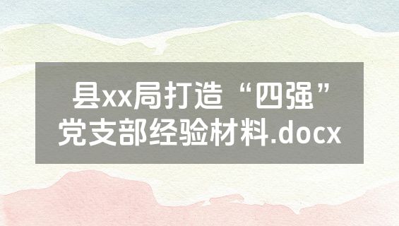 县xx局打造“四强”党支部经验材料.docx