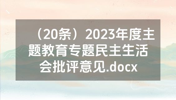 （20条）2023年度主题教育专题民主生活会批评意见.docx