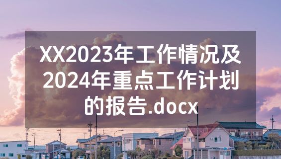 XX2023年工作情况及2024年重点工作计划的报告.docx