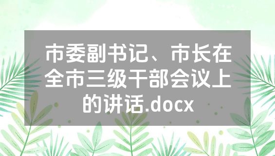 市委副书记、市长在全市三级干部会议上的讲话.docx