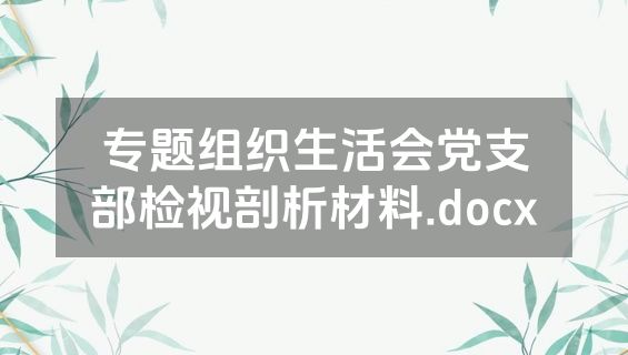 专题组织生活会党支部检视剖析材料.docx