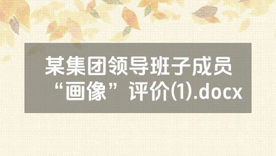 某集团领导班子成员“画像”评价(1).docx
