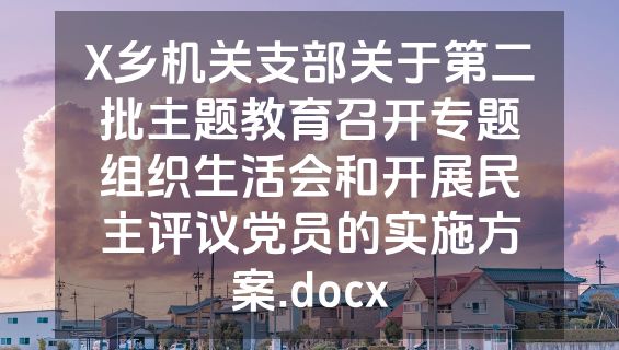 X乡机关支部关于第二批主题教育召开专题组织生活会和开展民主评议党员的实施方案.docx