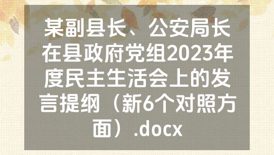 某副县长、公安局长在县政府党组2023年度民主生活会上的发言提纲（新6个对照方面）.docx
