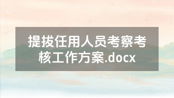 提拔任用人员考察考核工作方案.docx
