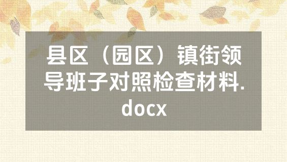 县区（园区）镇街领导班子对照检查材料.docx