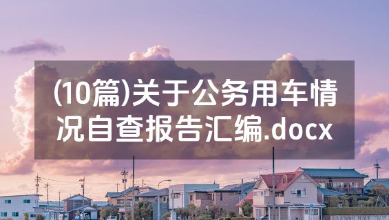 (10篇)关于公务用车情况自查报告汇编.docx