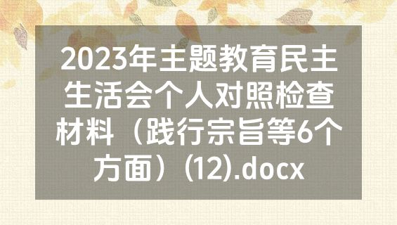 2023年主题教育民主生活会个人对照检查材料（践行宗旨等6个方面）(12).docx