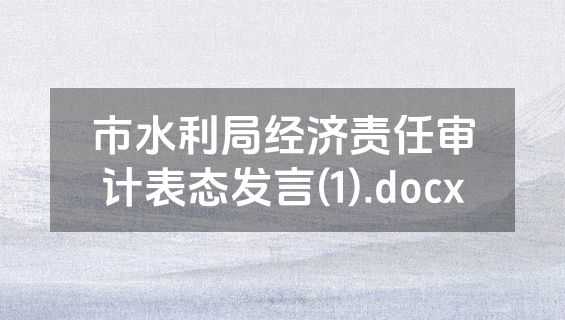 市水利局经济责任审计表态发言(1).docx