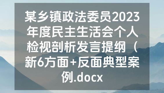 某乡镇政法委员2023年度民主生活会个人检视剖析发言提纲（新6方面+反面典型案例.docx