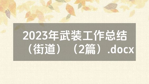 2023年武装工作总结（街道）（2篇）.docx