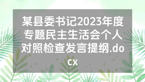 某县委书记2023年度专题民主生活会个人对照检查发言提纲.docx