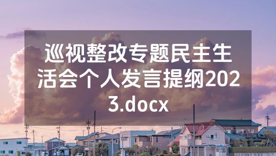 巡视整改专题民主生活会个人发言提纲2023.docx