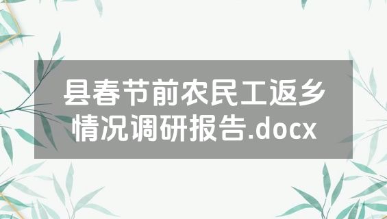 县春节前农民工返乡情况调研报告.docx
