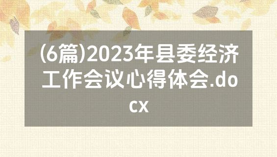 (6篇)2023年县委经济工作会议心得体会.docx