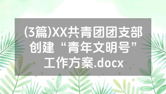 (3篇)XX共青团团支部创建“青年文明号”工作方案.docx