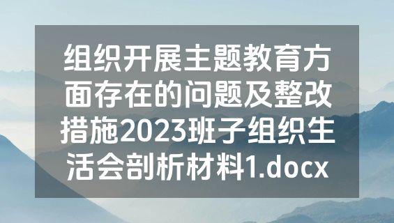 组织开展主题教育方面存在的问题及整改措施2023班子组织生活会剖析材料1.docx