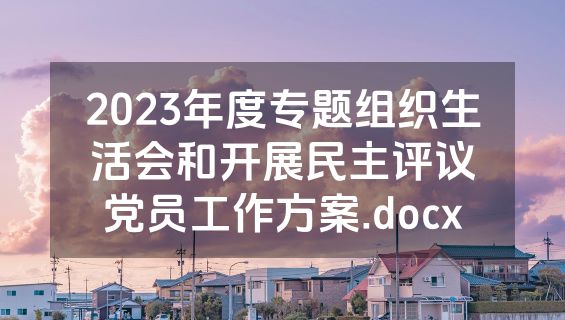 2023年度专题组织生活会和开展民主评议党员工作方案.docx