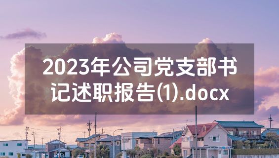 2023年公司党支部书记述职报告(1).docx