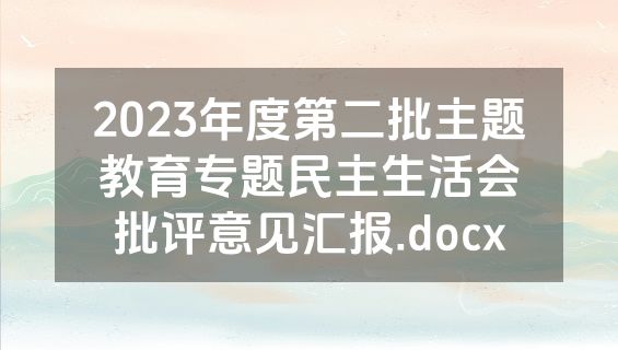 2023年度第二批主题教育专题民主生活会批评意见汇报.docx