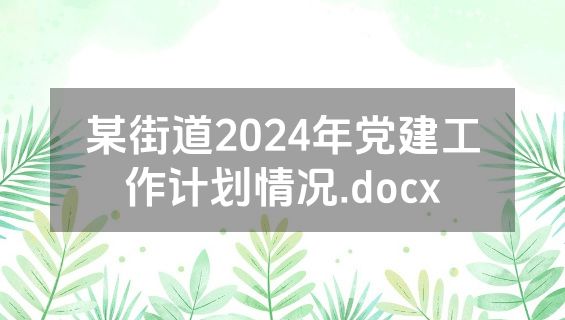 某街道2024年党建工作计划情况.docx