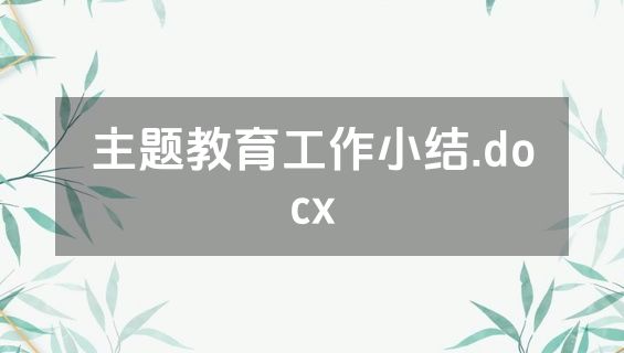 主题教育工作小结.docx