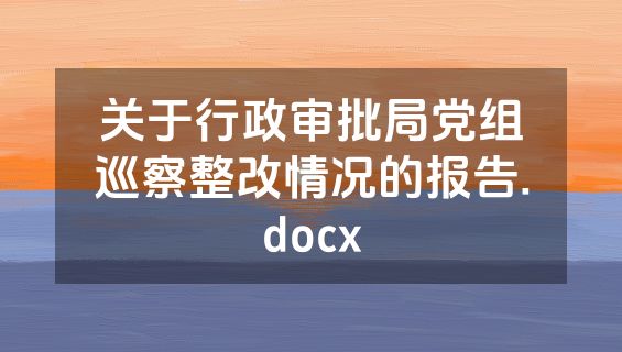 关于行政审批局党组巡察整改情况的报告.docx