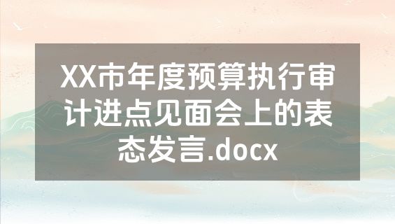 XX市年度预算执行审计进点见面会上的表态发言.docx
