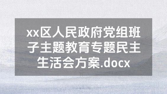 xx区人民政府党组班子主题教育专题民主生活会方案.docx