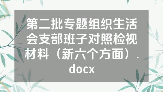 第二批专题组织生活会支部班子对照检视材料（新六个方面）.docx