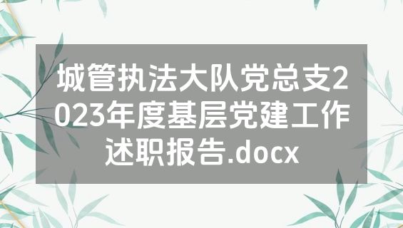 城管执法大队党总支2023年度基层党建工作述职报告.docx