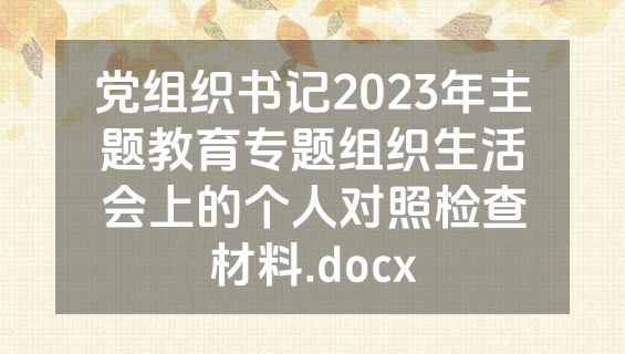 党组织书记2023年主题教育专题组织生活会上的个人对照检查材料.docx