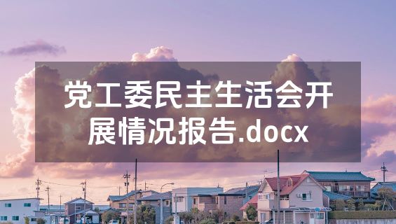 党工委民主生活会开展情况报告.docx