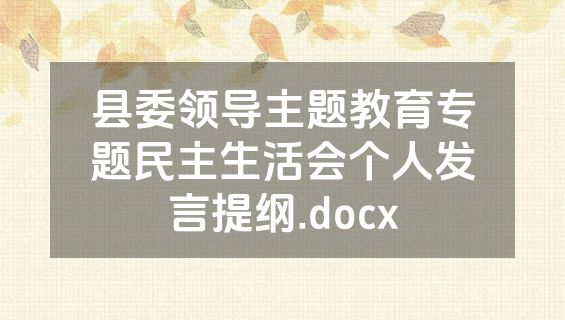 县委领导主题教育专题民主生活会个人发言提纲.docx