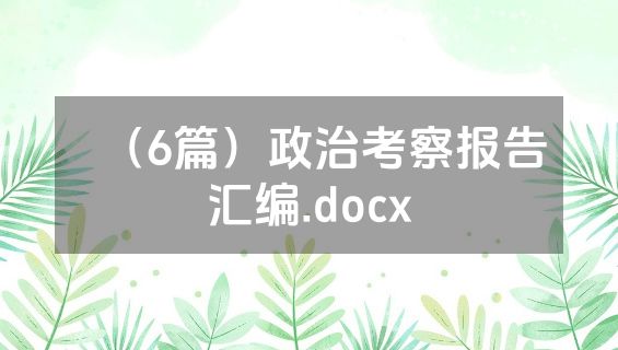 （6篇）政治考察报告汇编.docx