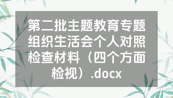 第二批主题教育专题组织生活会个人对照检查材料（四个方面检视）.docx