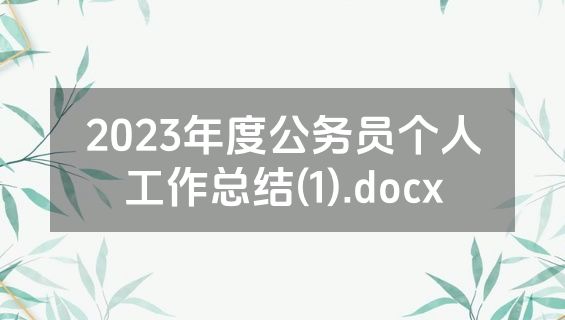2023年度公务员个人工作总结(1).docx